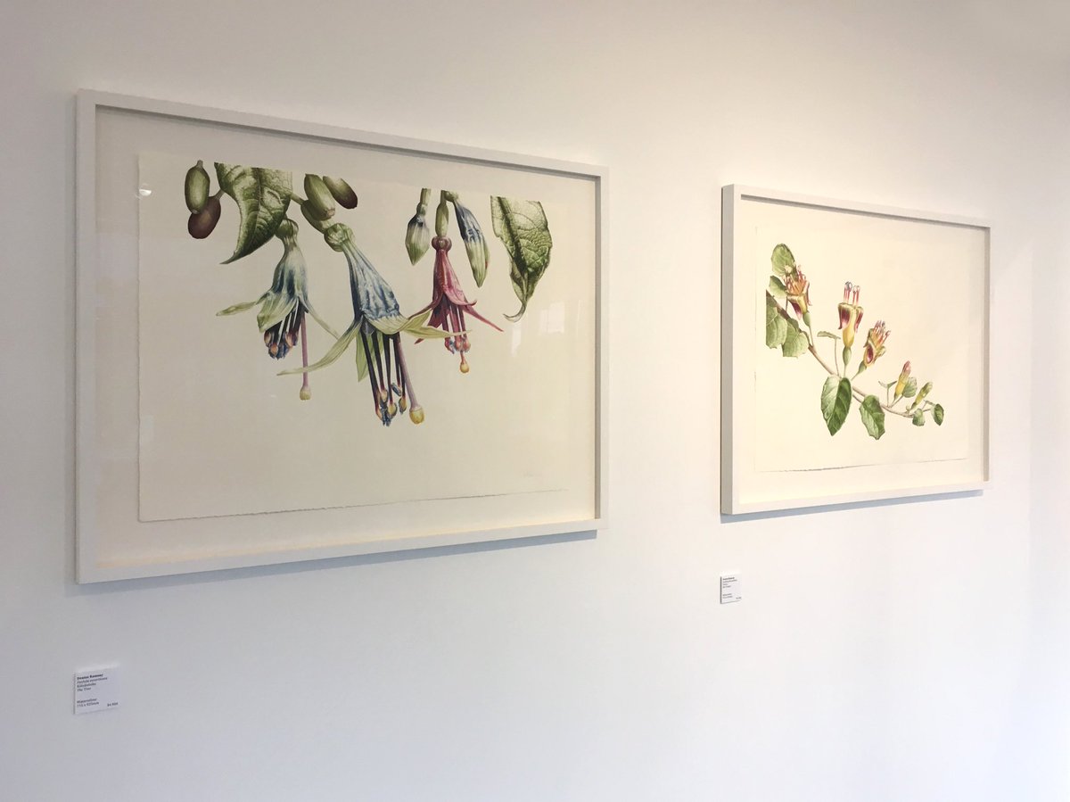 Botanical Art School (paintwithCSBA) Twitter