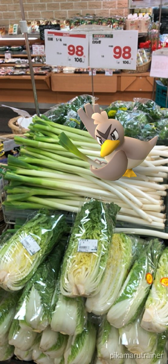 pikamarutks's tweet image. お昼ご飯買いに行ったら…
「奥さん❗️安いよ安いよ〜❗️」
カモネギがバイトしてた😨
今度なんかおごってもらお👛
#ポケモンGO
#ポケモンAR写真
#ポケモンAR写真大会
#カモネギ
#売り切るまで帰れないそう