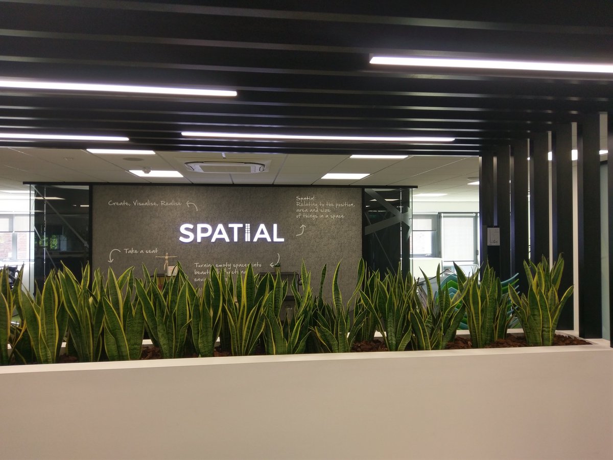 spatial_oe tweet picture