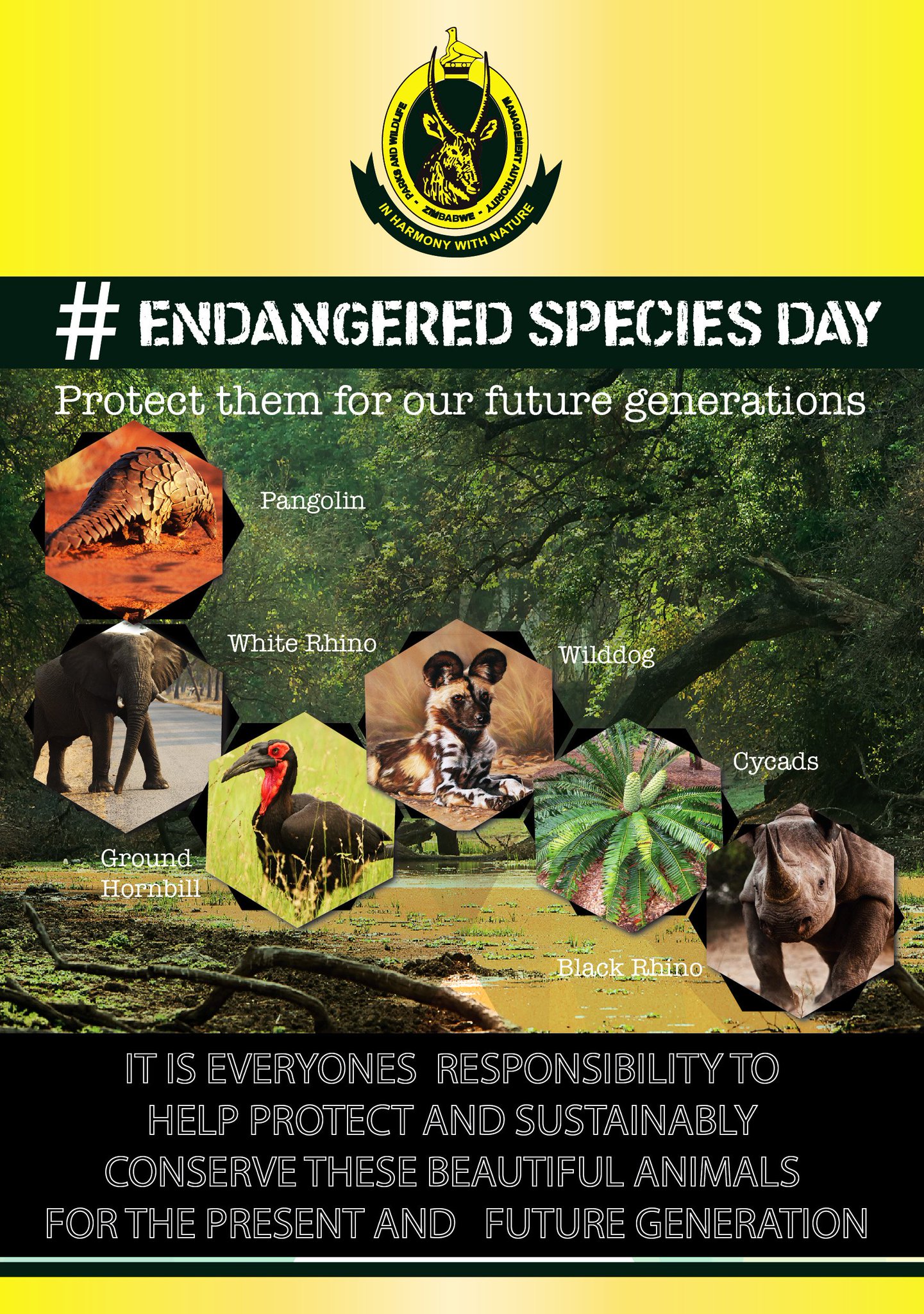 Zimparks on Twitter: Zimparks on Twitter: