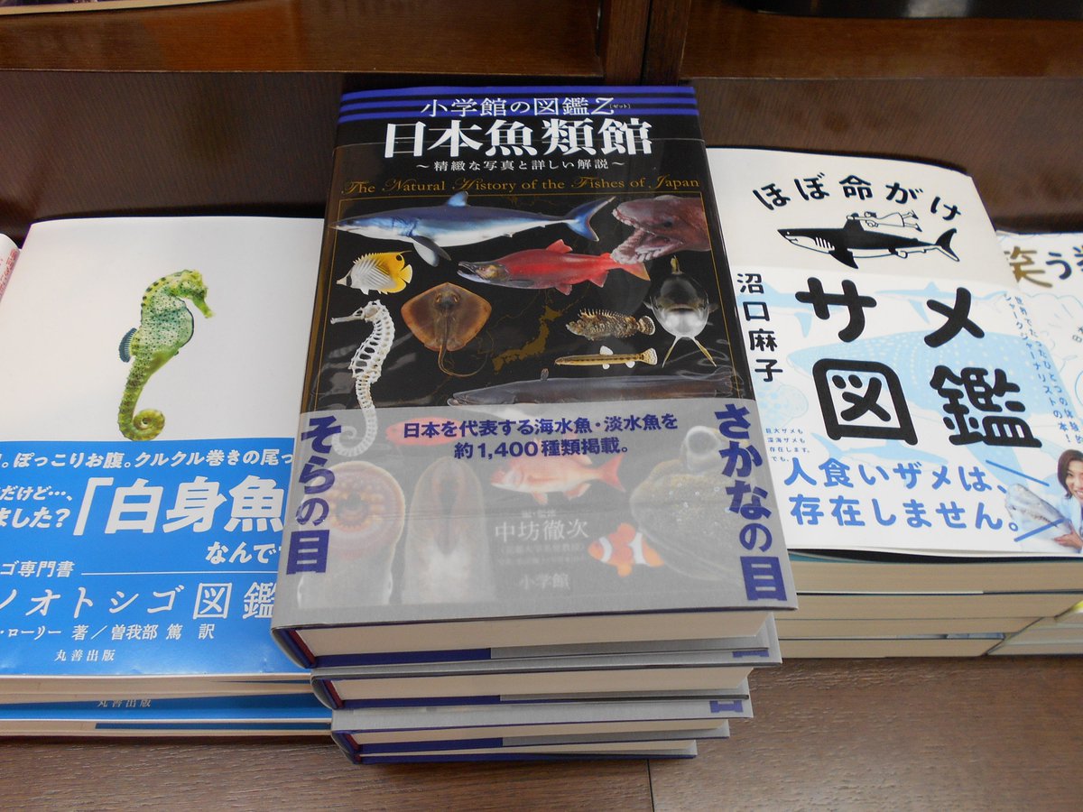 ジュンク堂書店近鉄あべのハルカス店 お待たせしました 日本魚類館 精緻な写真と詳しい解説 小学館 本日少しだけ入荷いたしました 図鑑としての機能性 美麗な写真は言うに及ばず 何よりもサイズが魅力な一冊です