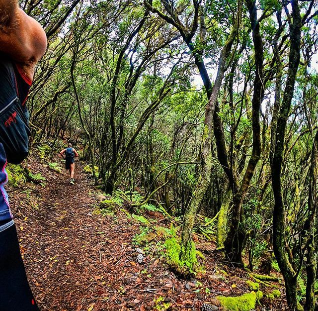 patrickams's tweet photo. ¡Bosques encantados! Cuando sales a la búsqueda de hadas, y te encuentras elfos oscuros 😝. ¡Feliz viernes! https://t.co/HJSAZ3vKVd