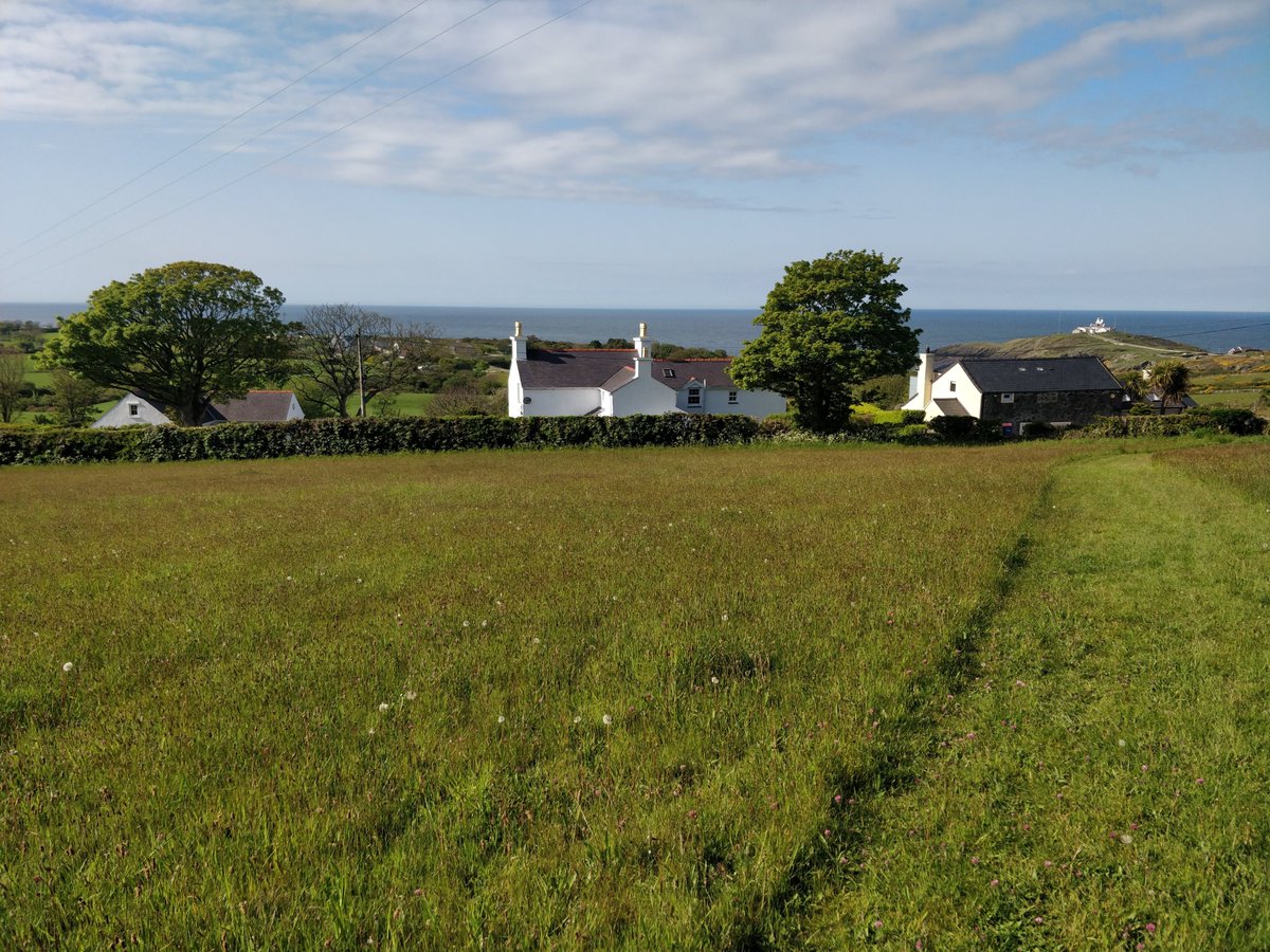 Only £250 for 7 nights - The Caravan here at Ynys Goch from Sat 19/5 - and this beautiful weather continues! Contact Dave or Jane on 01407 831480, 07764 463293 or E mail davemx20@live.com . The Caravan is in the garden of Ynys Goch - see photos #Anglesey #caravanholidays