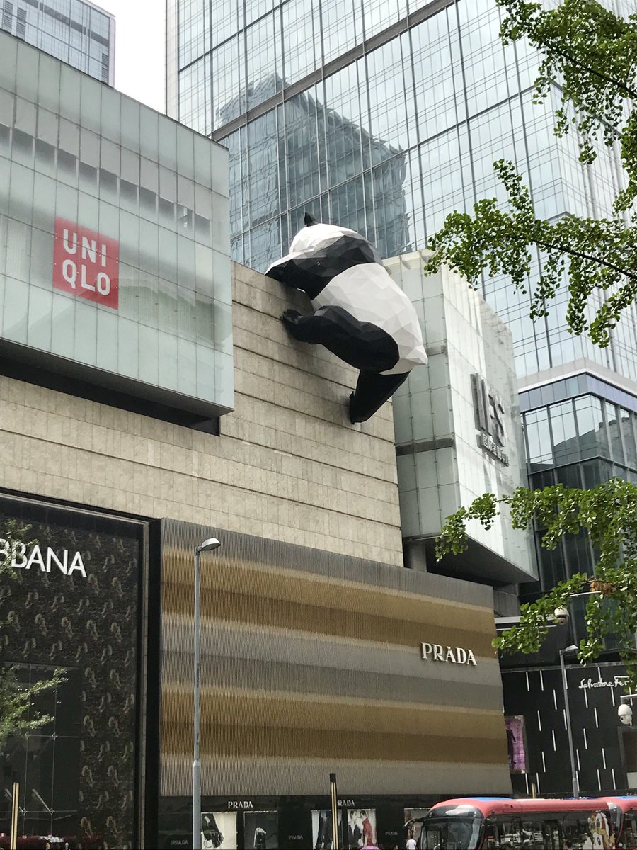 FedUniBrisbane's tweet photo. In search of Panda! #chengdu #sisterprovince #feduni #fedunibrisbane #pandacity #lovecityart https://t.co/XqVZfTUfuE