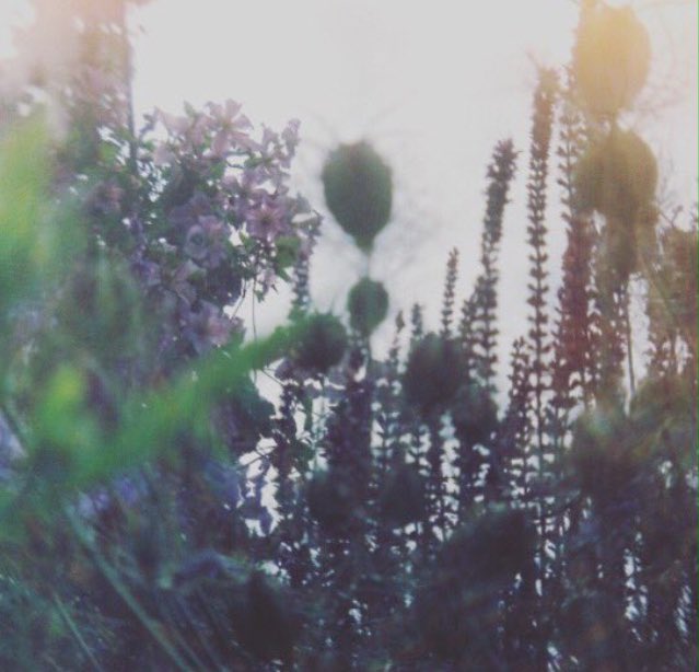 3rd w/e of <a href="/artistshouses/">Artists Open Houses</a> tomorrow - don't miss North End House, a new venue on the #Ditchling trail, showing an eclectic mix of #photography, #jewellery, #painting, #prints &amp; mixed media works all in a beautiful &amp; historic setting artinditchling.co.uk #AOH18