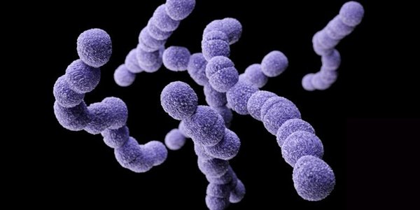MARCH_LSHTM's tweet photo. Have you got #data on follow-up of children after Group B Streptococcus infection? @LSHTM and @WHO needs reliable data to inform the development of #GBS vaccines. See details here: https://t.co/aCiLKm1DHg https://t.co/5ak7CMQyxu