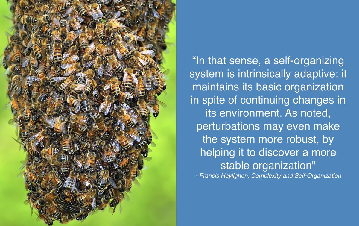 Sys_innovation's tweet photo. #ComplexityTheoryCL https://t.co/A4J3GBzGgK