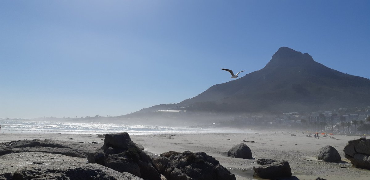 livingitupct's tweet photo. | ABOUT YESTERDAY |

#CampsBay beach scenes captured on a sunny autumn day in May 💙 Could've stayed here all day @DiBrown5 🌊☀️🏖 
#lovecapetown #thebeachismyhappyplace https://t.co/DixOUvFKVc