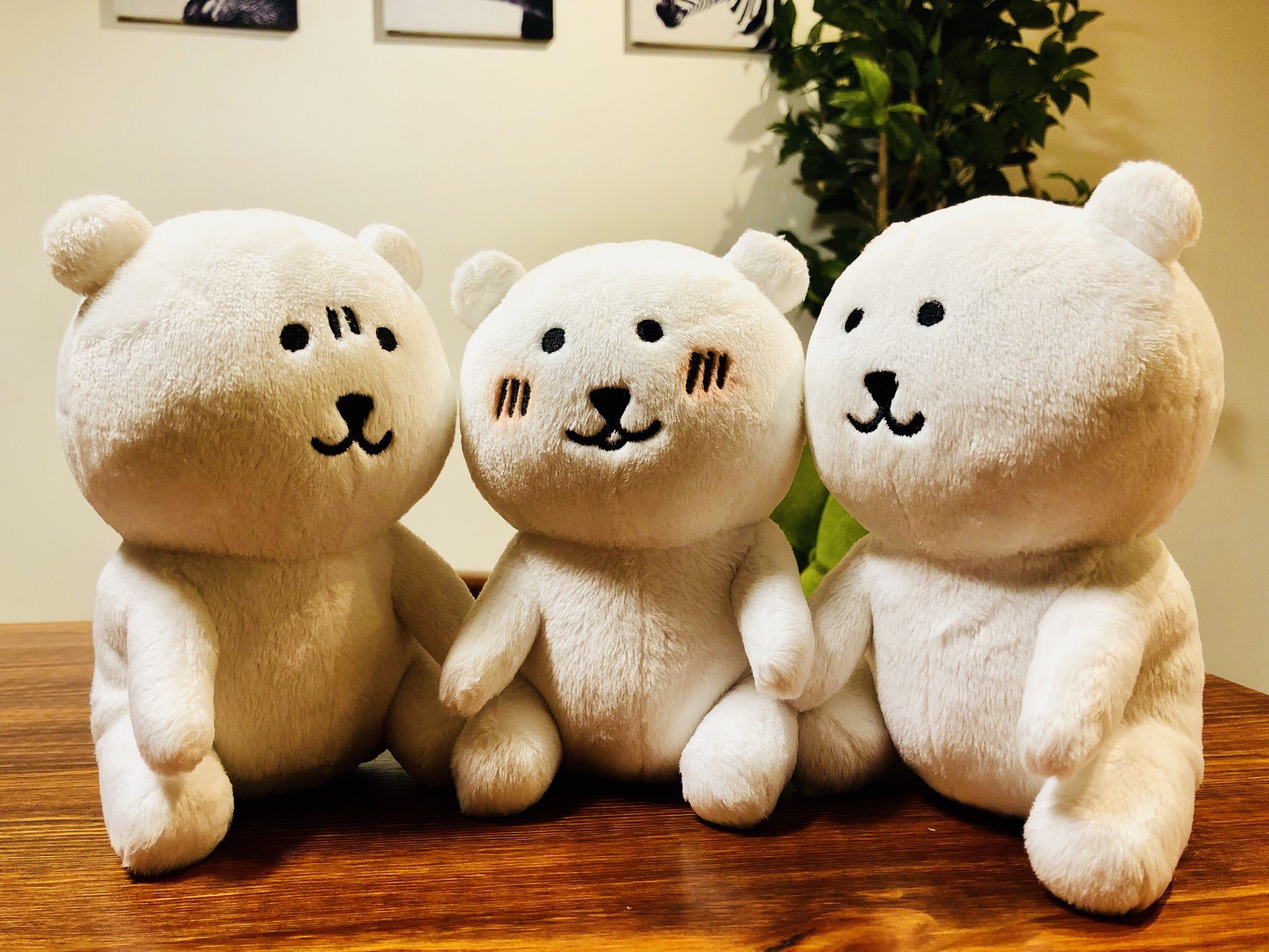 自分ツッコミくま マスコット ねてた 駿河屋 - 【買取】ねてた ボールチェーン付きぬいぐるみ 「自分