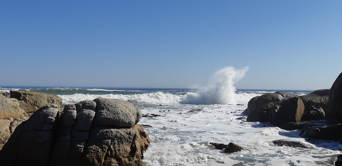 | ABOUT YESTERDAY |

#CampsBay beach scenes captured on a sunny autumn day in May 💙 Could've stayed here all day <a href="/DiBrown5/">The Roaming Giraffe #Travel Writer</a> 🌊☀️🏖 
#lovecapetown #thebeachismyhappyplace