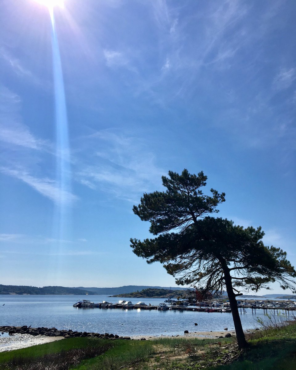 A quick pit stop on my way to my northerest store 2km from the Norwegian border: Nordby🎀 <a href="/Hunkemoller/">Hunkemöller</a> #nature