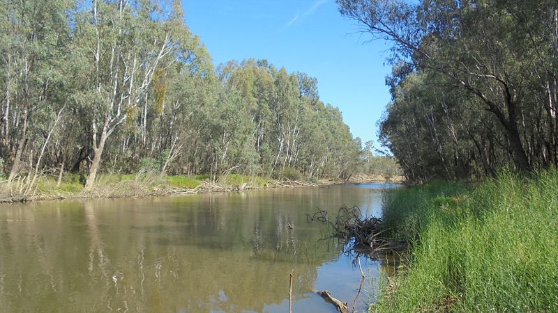 FairCommentShow's tweet image. This week, water recovery in the Goulburn-Murray, technology and accessible after last week’s Global Accessibility Awareness day. And where is Australia at with LGBTI rights?

(📸: Roni via Wikimedia Commons)