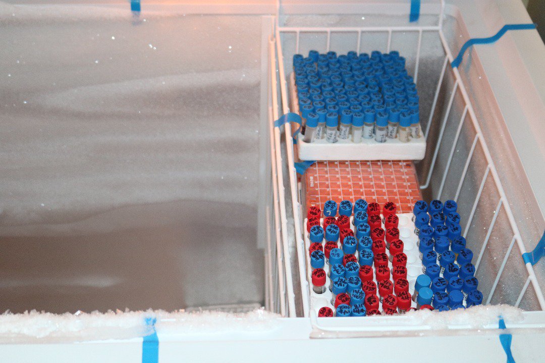 WHONigeria's tweet image. @WHO and @NCDCgov hand over #ELISA readers, test equipment, #microplate washers and a refurbished laboratory to Maitama General Hospital Abuja in a bid to strengthen #measles and #yellowfever surveillance