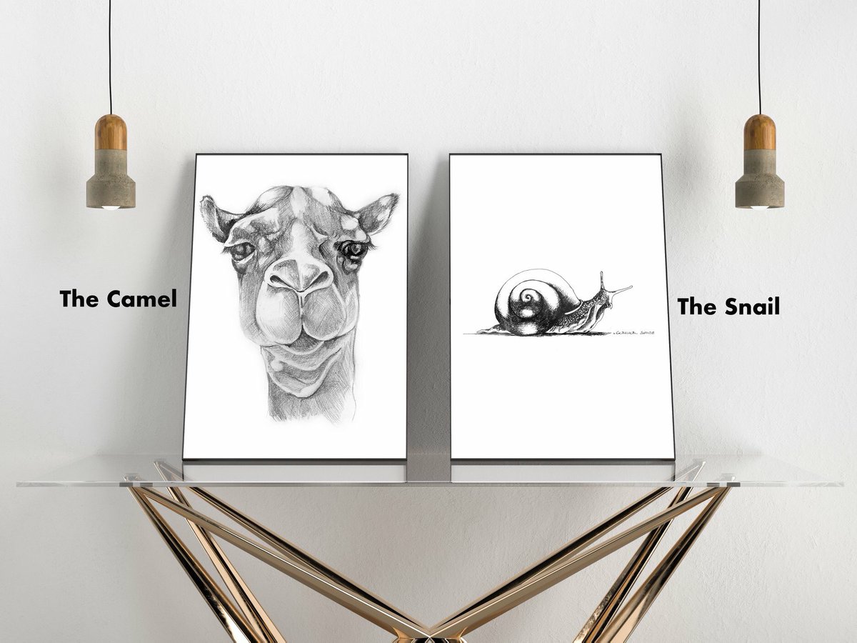 ItsCommonSense4's tweet photo. THE #CAMEL &amp; THE #SNAIL //New #designs coming soon #itscommonsense #fashion https://t.co/whe3iAg3k4