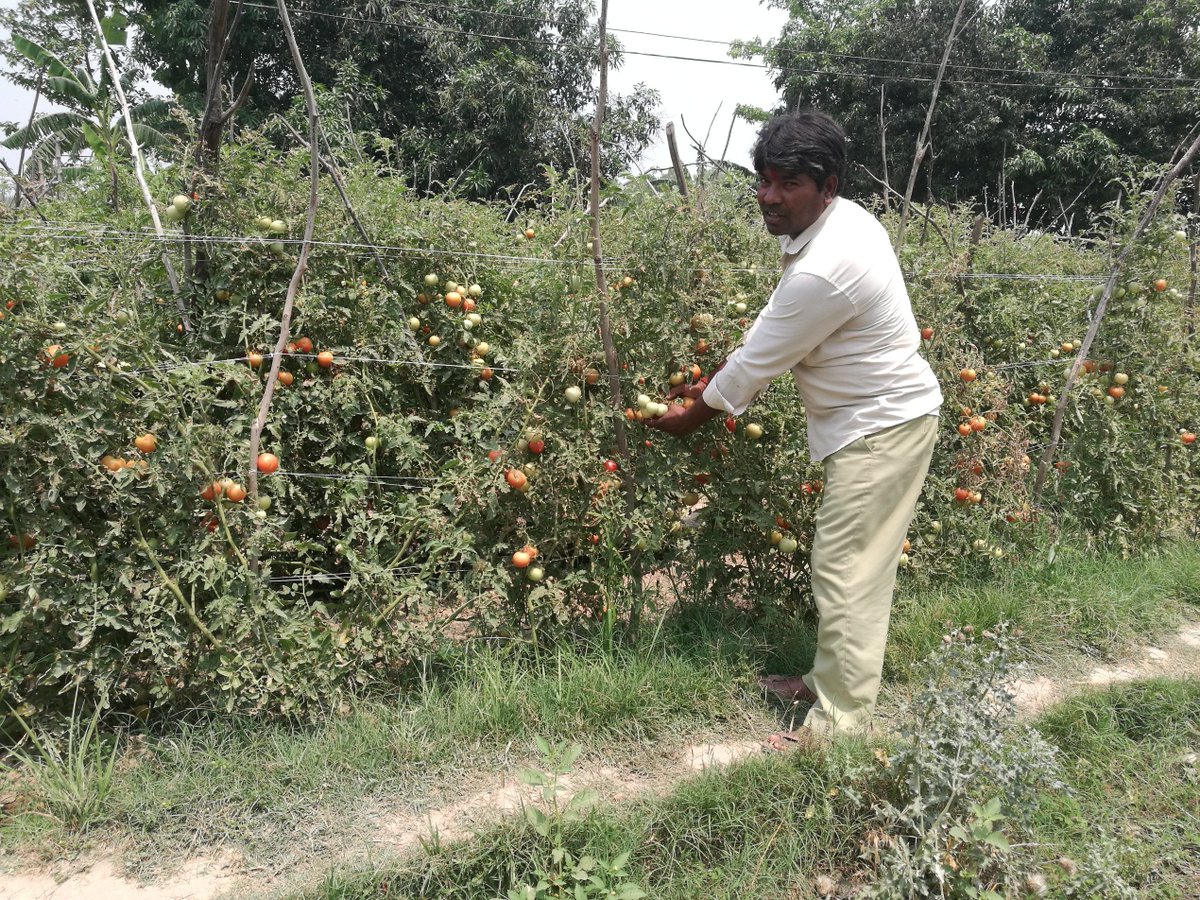 AusAmbNP's tweet photo. As the Australian Government funded #MEDEP prepares to wrap up in July 2018, it is heartening to see the Micro Enterprise Development for Poverty Alleviation #MEDPA program of the Government of Nepal #GoN preparing to pick up from where MEDEP ends. @UNDPNepal @Medep_undp https://t.co/GDkunXJLiz