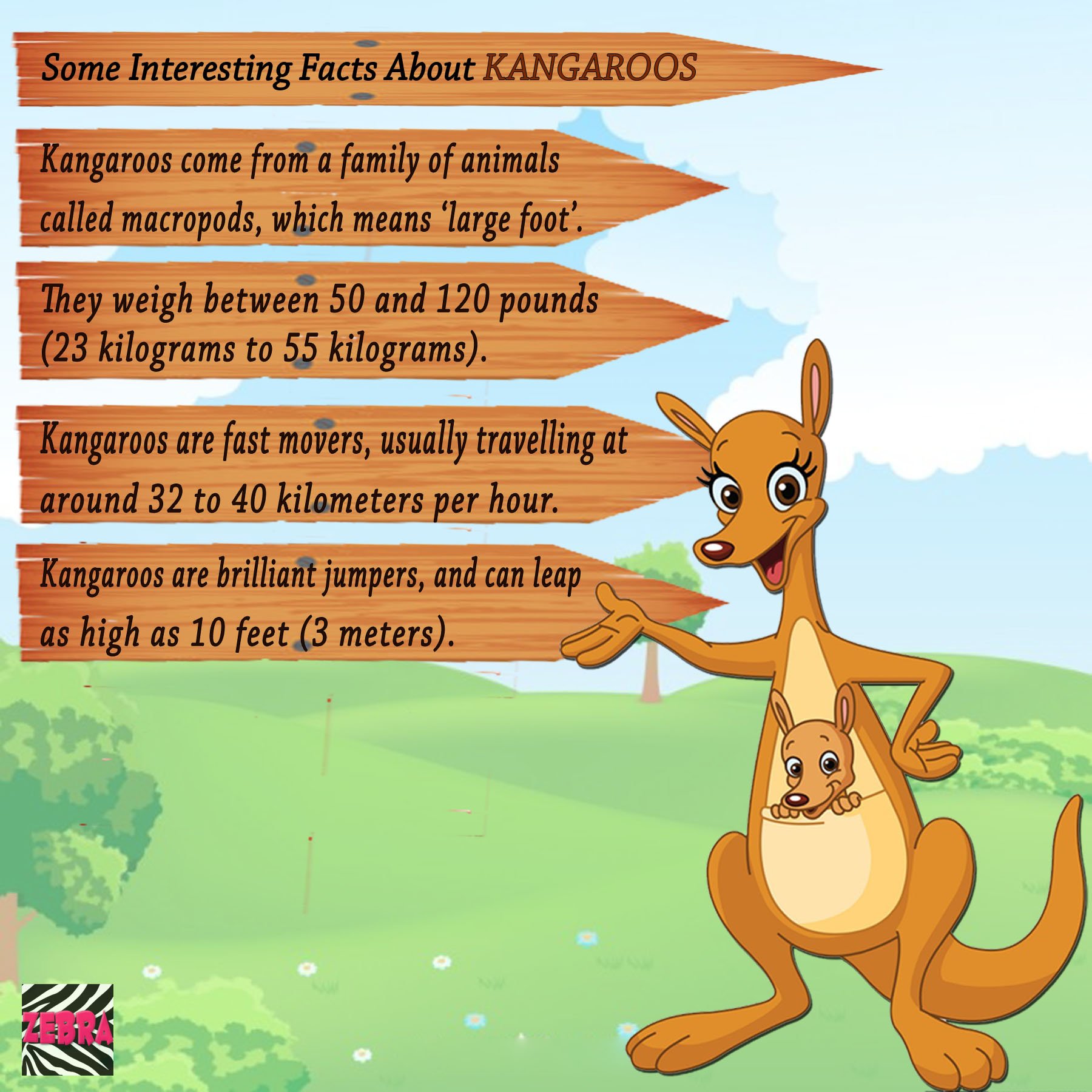 Facts about animals. Кенгуру на английском. Kangaroo facts for Kids. Факты о кенгуру на английском. Загадка про кенгуру на английском языке.