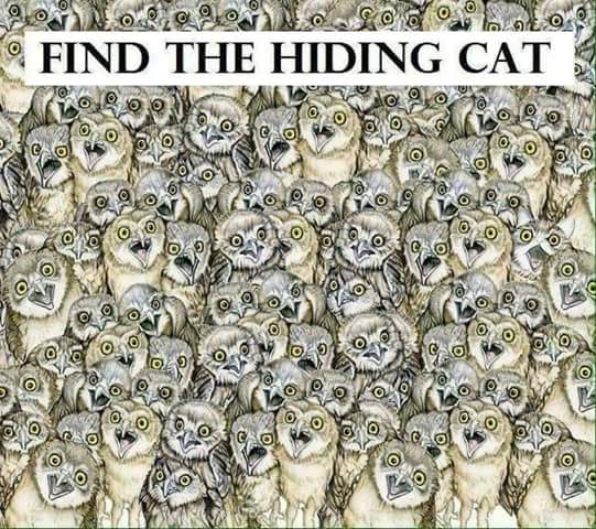 CorporateBytes's tweet image. #activebrain