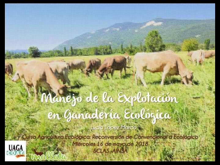 El miércoles estuve en Aínsa compartiendo y aprendiendo con ganaderos del #Sobrarbe en el curso sobre Agricultura Ecológica organizado por <a href="/UAGA_COAG/">UAGA-COAG Aragón</a> en #SCLAS. No se si les pude enseñar algo que no supieran ya, pero yo aprendí mucho 🐮
