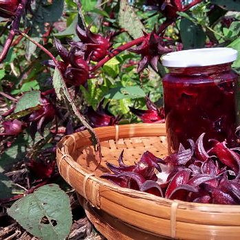 Rosella Jam. 300gm =$8
Hand crafted, no additives.
Free delivery available. (T&amp;Cs apply )
#beelissimo #Brisbane #Delivery #rosella #jam 

beelissimo.myshopify.com