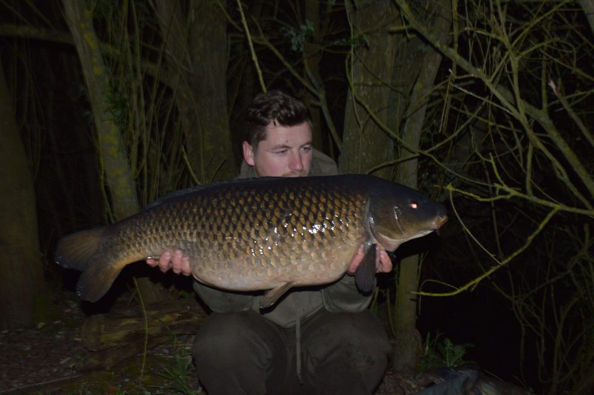 Northeastbaits2's tweet photo. #Nebs #customer Tom with a #Common #Taken with 30 #glugged #Reaper #Baits #CrushedReaper #longCommon
#foossource
Great angling Tom
All orders are placed through our facebook page
https://t.co/XfCcUzSksv https://t.co/xW3SfjuwSB