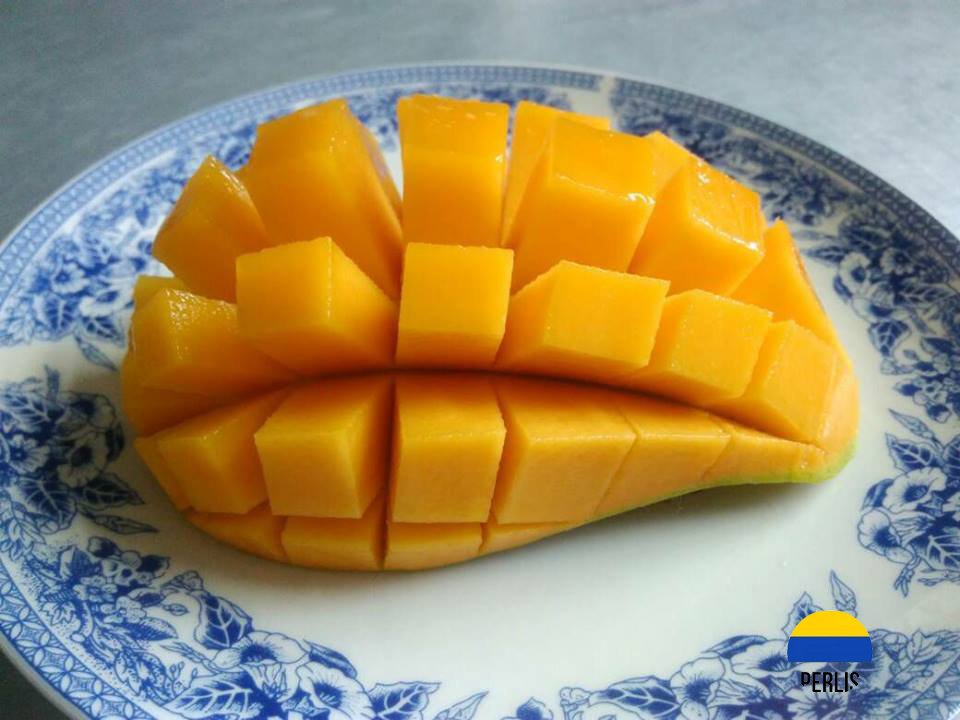 OhMyPerlis's tweet photo. #OnlyInPerlis https://t.co/m0bZoNq6Sg