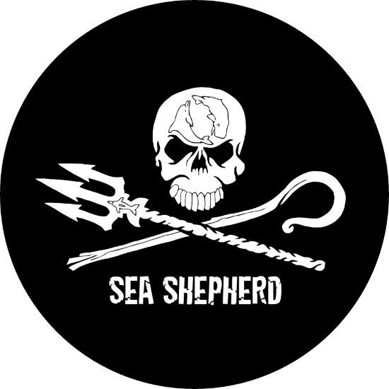 Morecambe Punk festival tweet media