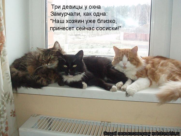 День рождения, картинки окна пвх прикольные
