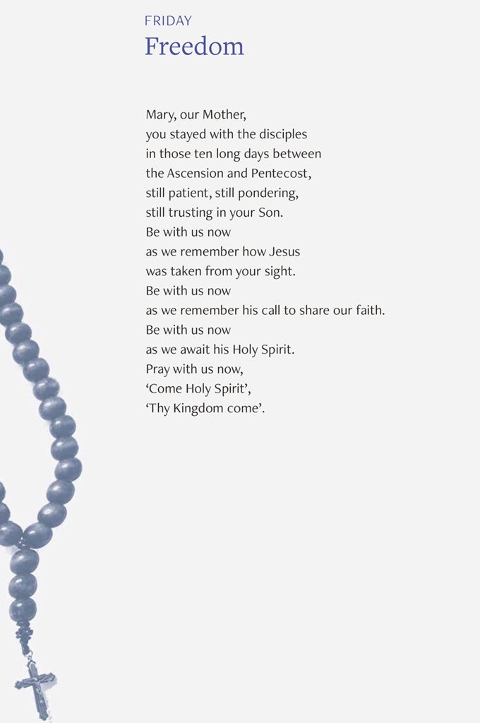 Novena2020's tweet photo. Novena Day 8 #thykingdom_come #ThyKingdomCome https://t.co/k6NAju7hXW https://t.co/eStlznd8UM