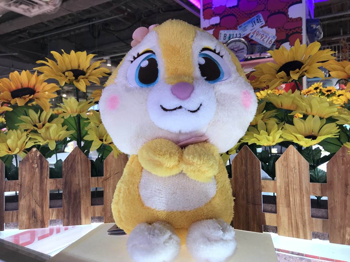 Namco横浜ワールドポーターズ店 בטוויטר 本日miss Bunny Youメガジャンボぬいぐるみが本日投入されました バニーちゃんの Youシリーズ 頭にはちゃんとお花も付いていてもこもこで可愛いです 皆様ぜひ お迎えしてあげてくださいね Disney ディズニー