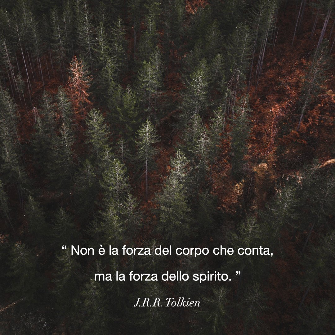 DuePiu_Assicura's tweet photo. Buongiorno!
#buongiorno #goodmorning #motivation #quotes #cartabianca #Buongiorno #18maggio #mattinieri #vivalaLettura #news #UnVersoAlGiorno #Buongiornoatutti #BuongiornoRegione #CercandoParole #ScrivoDelSilenzio #noiSinonimi #quoteoftheday #Spring #quotes #quotesoftheday https://t.co/IZziTRqa9P