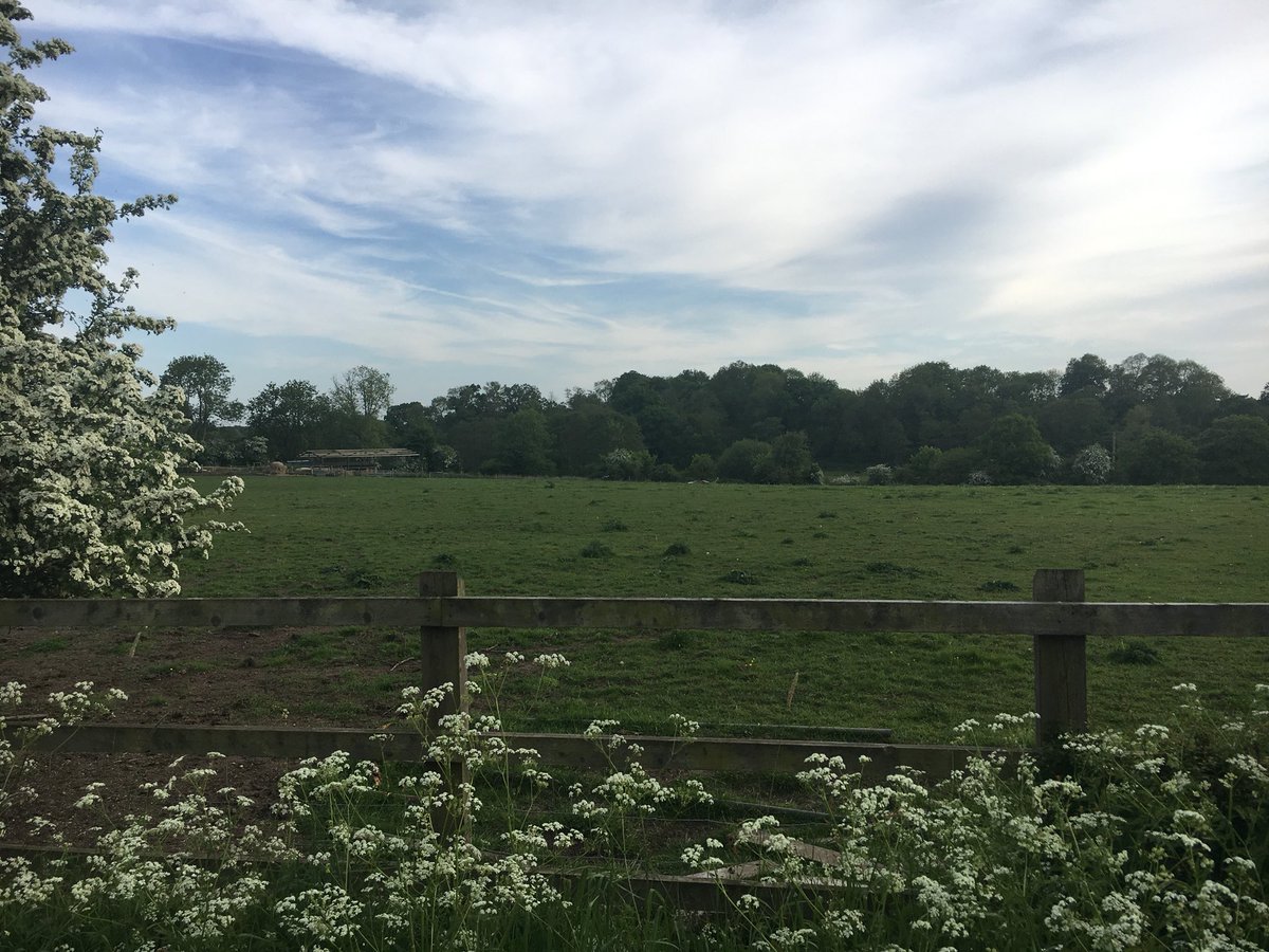 Fordingbridge News tweet media