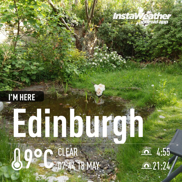 Diana_McCobb's tweet photo. @WindyWilson88 #Edinburgh #sunny #still #catdrinkingpond #pondwatch #BalgreenDi https://t.co/CKYSLfsOk0