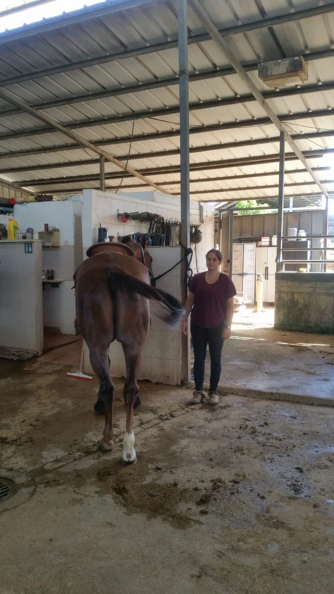 MichalTzemach's tweet photo. @caitrionambalfe i passsssssss !!! 😊😻😻😻😻🐴🐴🐴 #therapeuticridinginstructor #passexam #notnervousanymore !! https://t.co/OwFTXfg2XQ