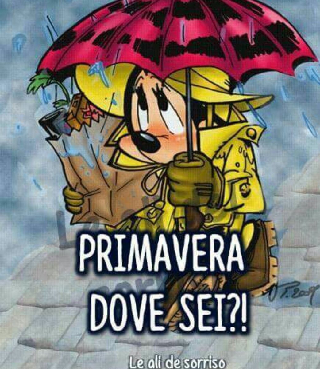 fiorenza_tania's tweet photo. @paolaxmi #lipogiro
#scritturebrevi
@FChiusaroli
@LoryBudano2
@giuvilmo
@saratata
@old_marlet
@adelestancati
@CaronteT

#Forzatura  -s
X forza
Forte
Carattere
Taglio
#Reciso
Riunito
Unito
#Innesto
Talea.               
                         ☔qui piove
Buongiorno 👋😘👍 https://t.co/jC3VAYJl2c