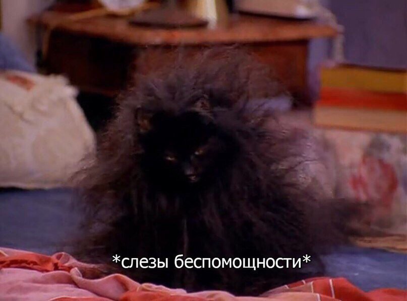 MessageManradio's tweet image. Сегодня английский...