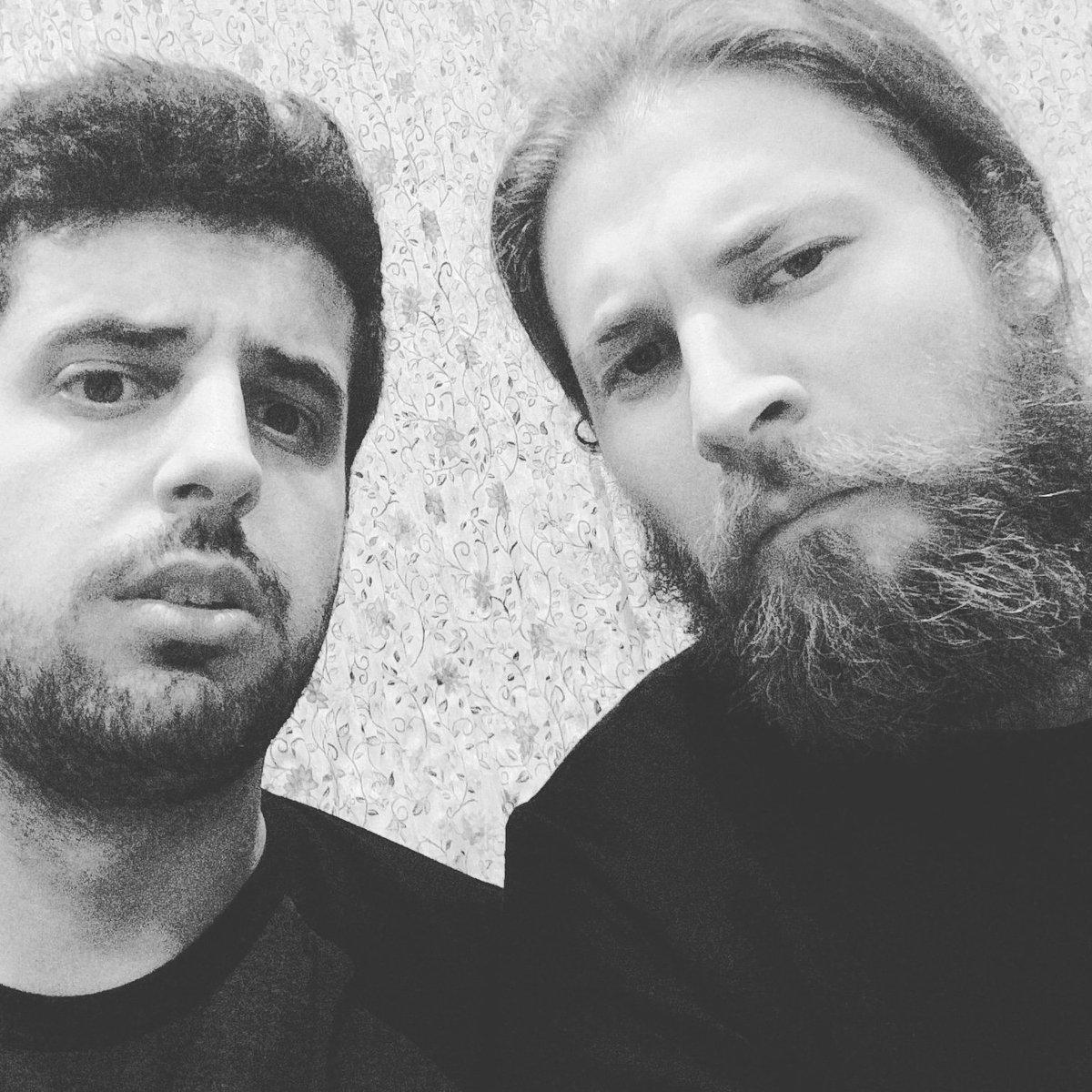 Shadow Box tweet media