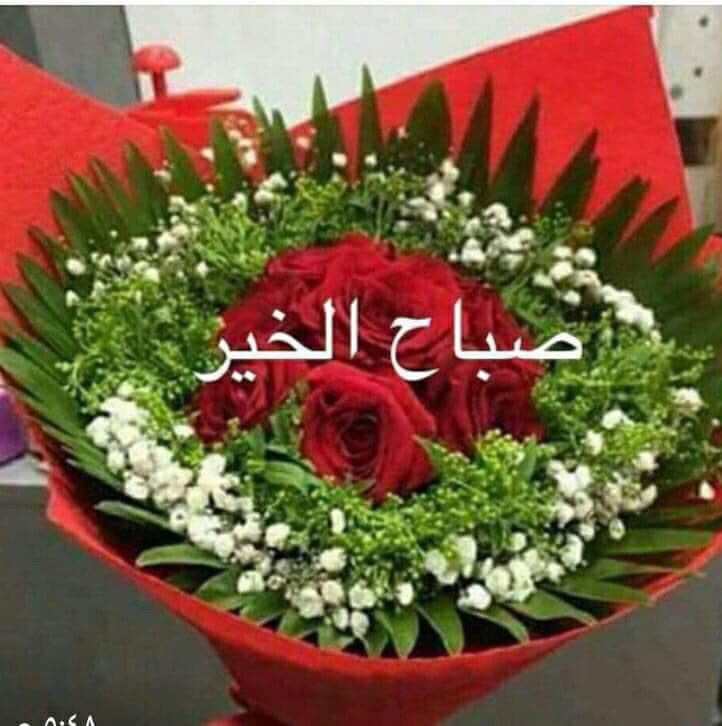 Talib706 tweet picture