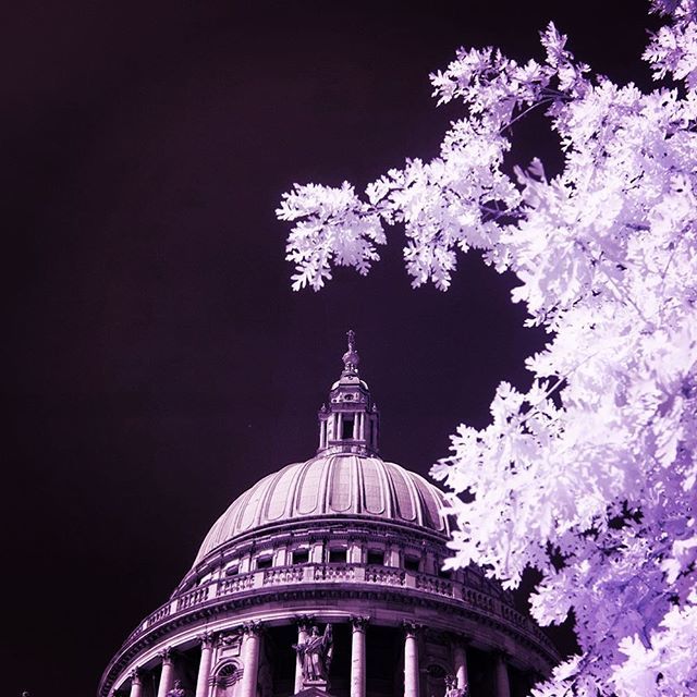 RupertHitchcox's tweet photo. Leaves 🍁 one 🌳 at St. Paul’s Cathedral.
#infraredphotography #stpaulscathedral #🌳 #🌲 #wethephotographers #artofvisuals #igersoflondon #justgoshoot #calculated #blackandwhite #talentbanq #regram #britains_talent #ruperthitchcox #photooftheday #exposu… https://t.co/isCz7j8BHF https://t.co/LMPnvbO5mp