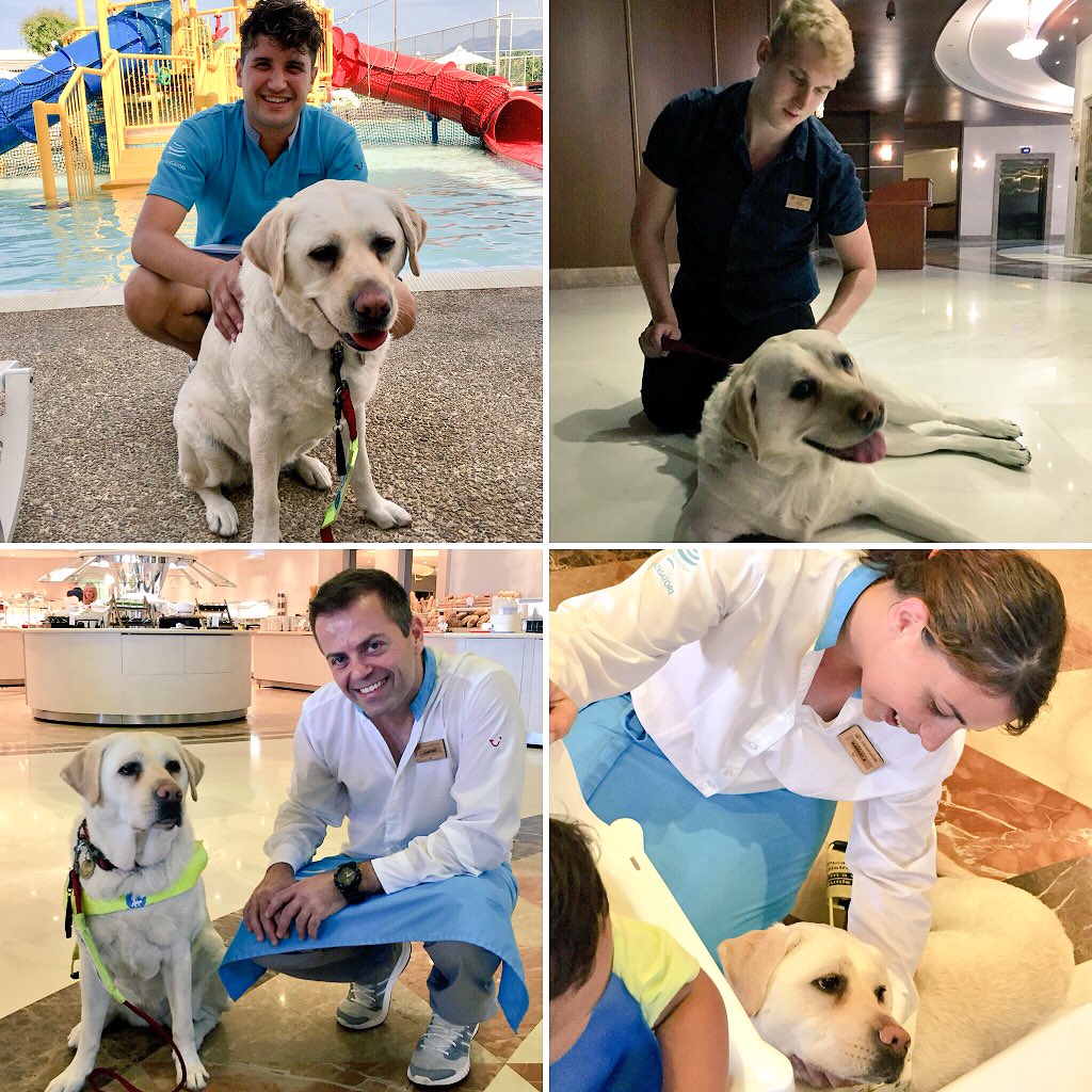 Kika_GuideDog's tweet photo. What a wonderful week! I’ve been spoilt rotten by everyone I’ve met, you’ve made our holiday! We hope to see you again soon! 💜
@guidedogs @TUIUK @TUIUKcares @LoveSensatori #TheKikaEffect #GuideDogOnHoliday @J_Hawks #GoingTheExtraSmile @AtlanticaGroup #Accessible https://t.co/c4hyXBv3zt