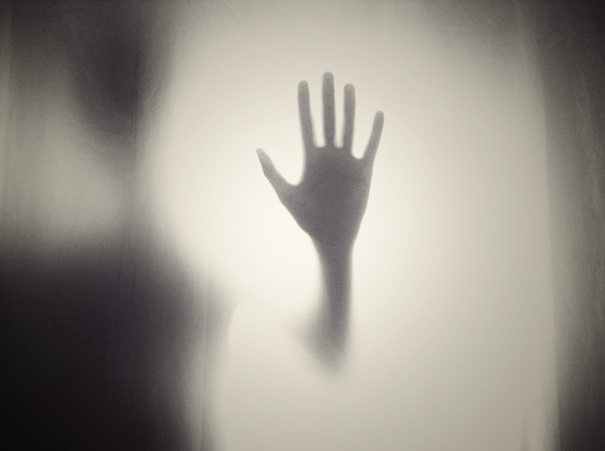 DesayunaRelatos's tweet photo. ¿Conoces qué son los Creepypastas?
https://t.co/B6Sy8RQbxN

Estamos seguros de que esta historias te aterrorizarán 😱😱
#lectura #leer #terror #artículo #miedo #creepypasta https://t.co/08T0GezqN1