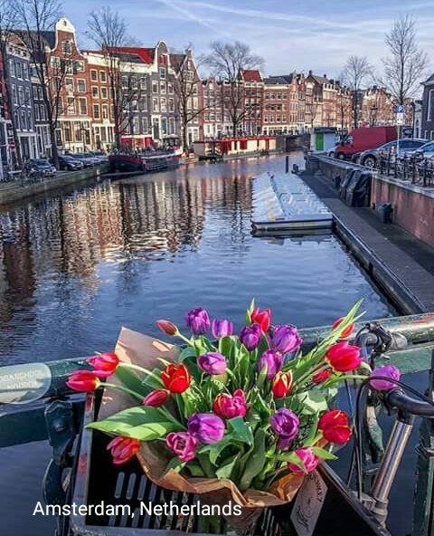 itsenni95's tweet photo. 5 tahun ke depan, see you soon Amsterdam https://t.co/ATQX9hDPW8