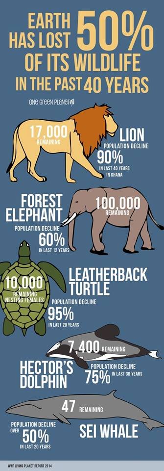 Green_FiveFive's tweet photo. #Earth is losing its #wildlife. https://t.co/V4LO1P3eJx