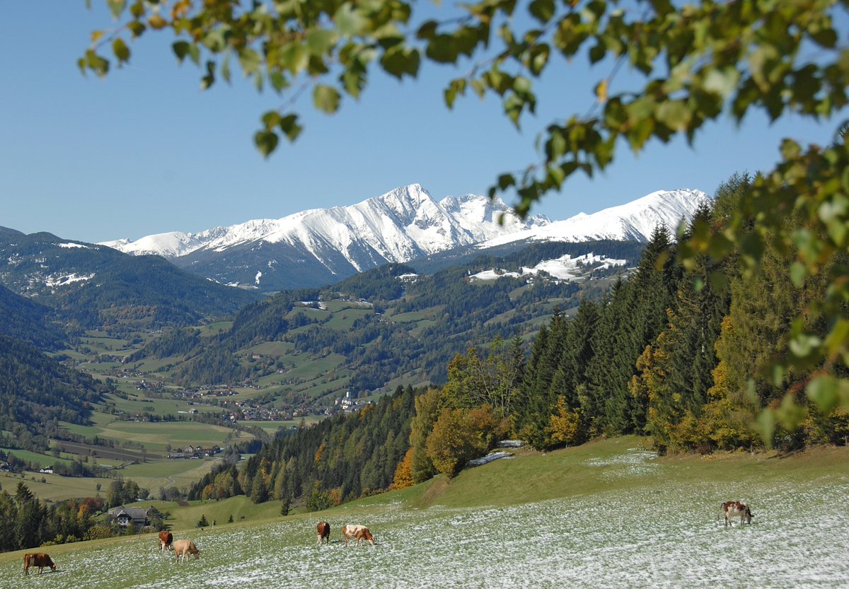 PEGASUS_eu's tweet photo. Austrian @PEGASUS_eu partner just got published in "Studies in Agricultural Economics" with an article on our CS! Well done 😀
➡️ Read it here: https://t.co/F7z6BOvjUG https://t.co/Xk0YD63SSu