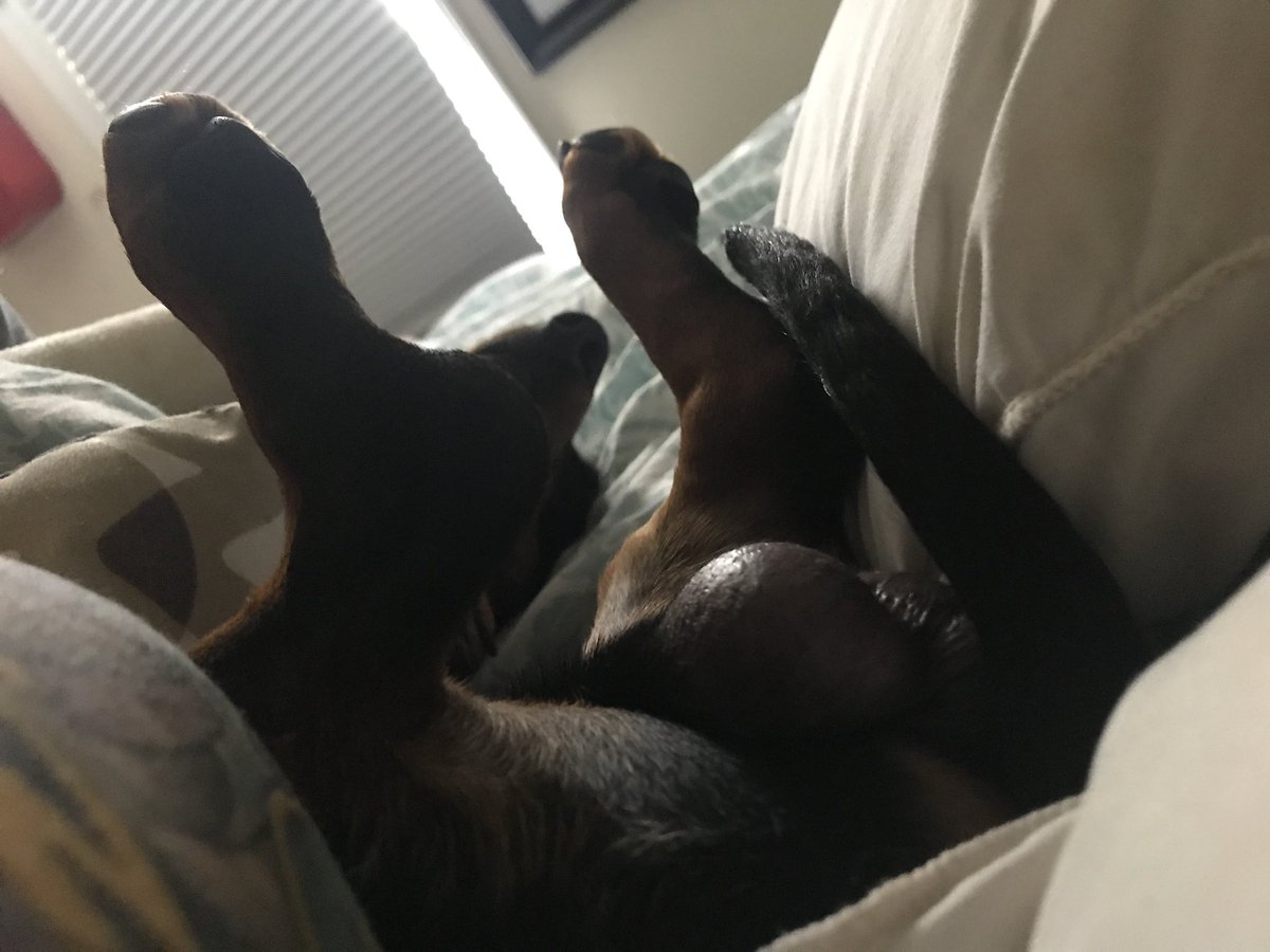 RelFe1's tweet image. can’t wait to wake up with my little guy