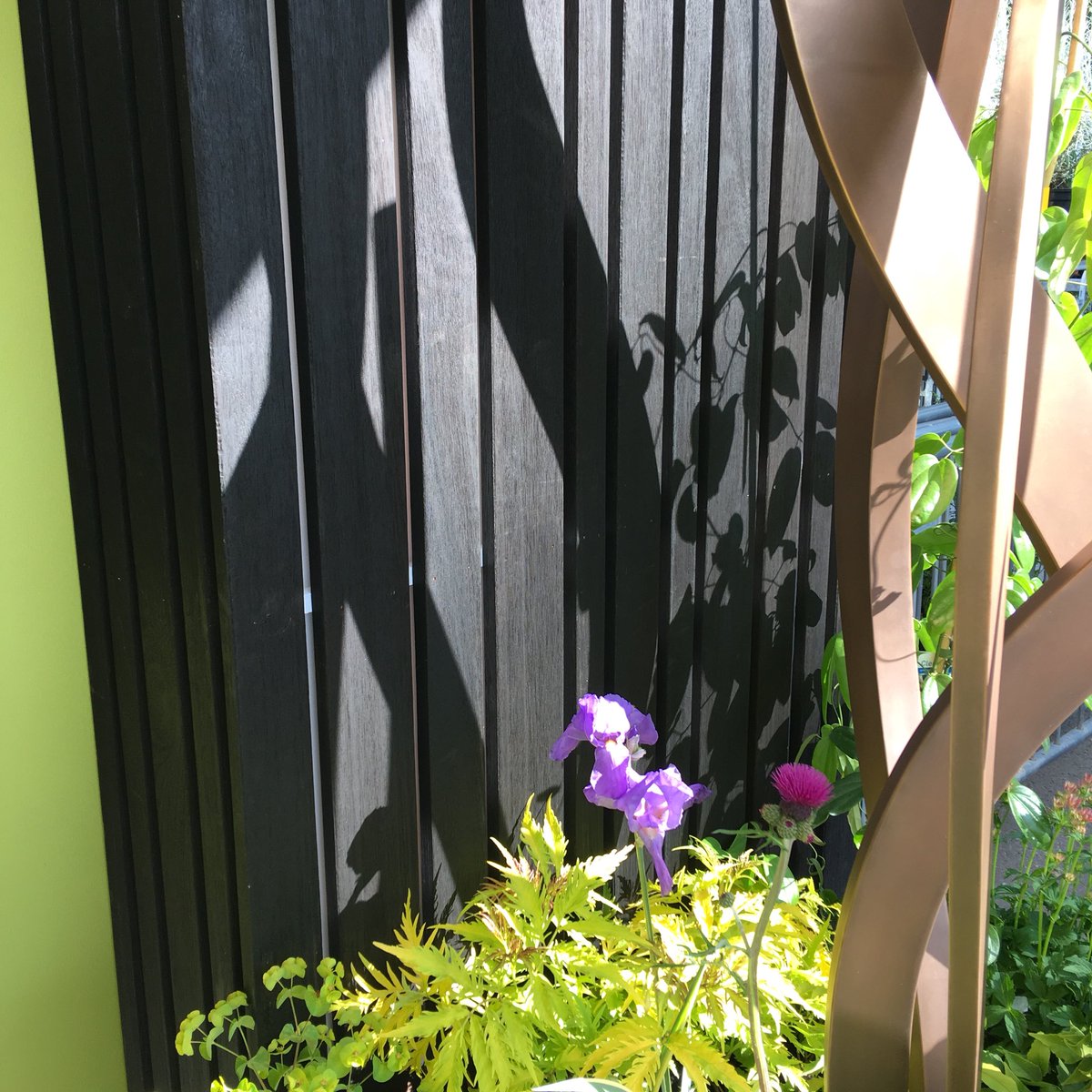 Early morning shadows of Hydra cast onto #shou-sudi-ban Yukari structures. Just beautiful #simplylovely #timber #Japanese #ChelseaFlowerShow <a href="/SarahNaybour/">Sarah Naybour</a> <a href="/davidharber/">David Harber</a> <a href="/lathamsltd/">James Latham</a>