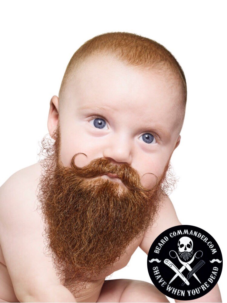 BeardCommander's tweet image. Even with a baby face, you can rock a beard! Who could ever say no to beard with this face?? Happy Friday everyone! 

#beards #beardsofIG #bearded #envybeards #beardsofinstagram #menwithbeards #guyswithbeards #babybeard #baby #eyes #beardcommander #shavewhenyouredead