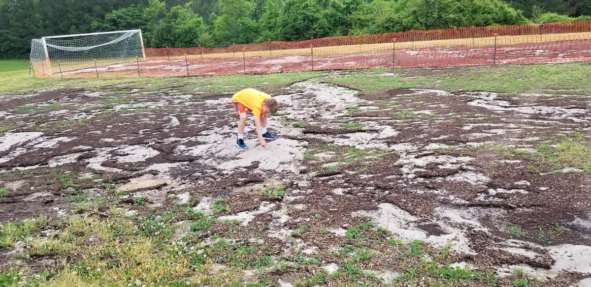 Kyle Hamstra tweet media