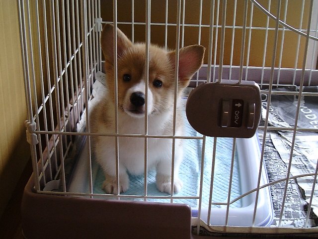 りえ＆こじろう👼 tweet media