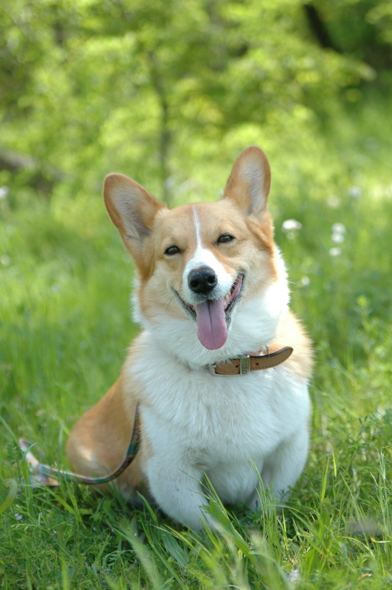 りえ＆こじろう👼 tweet media