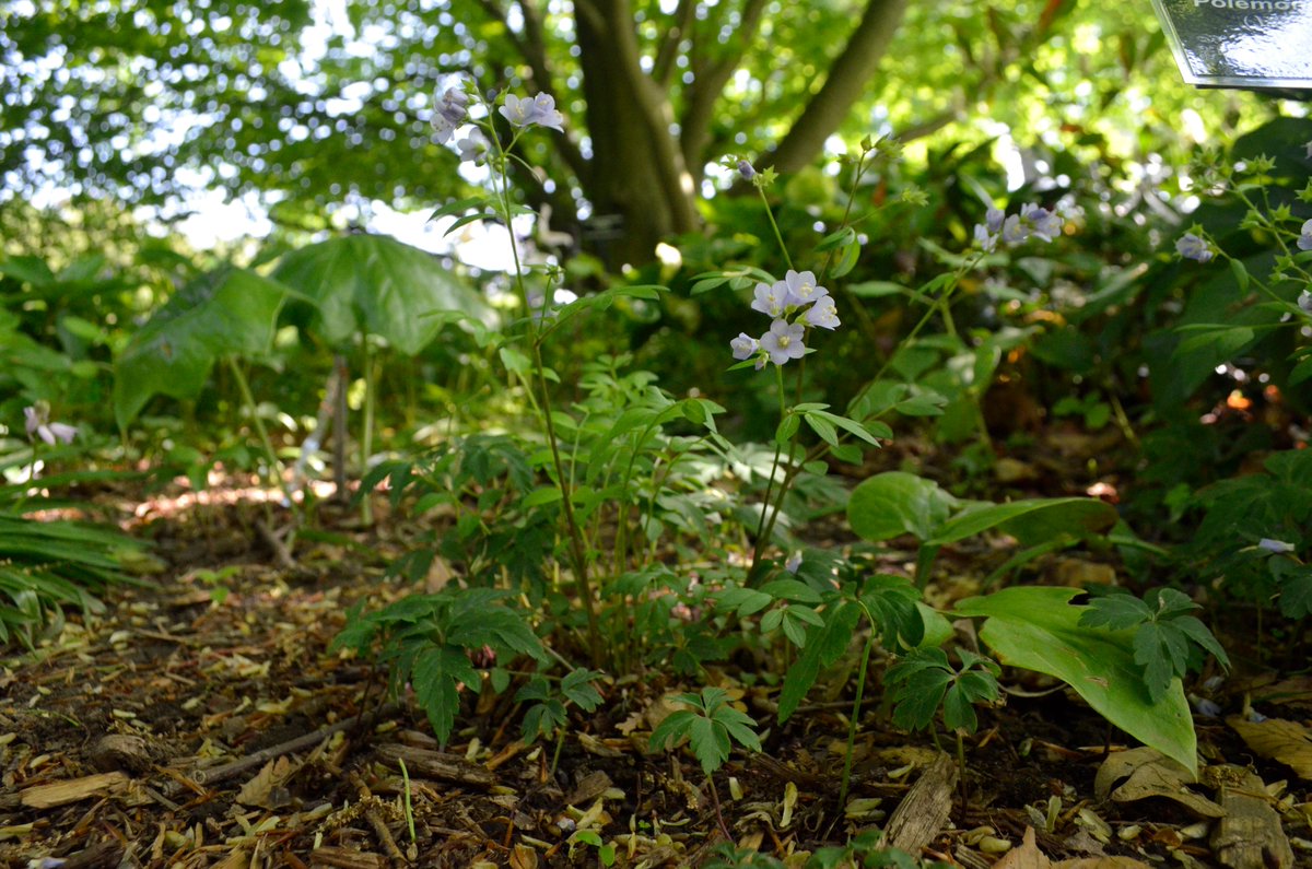 The Sense of Reality